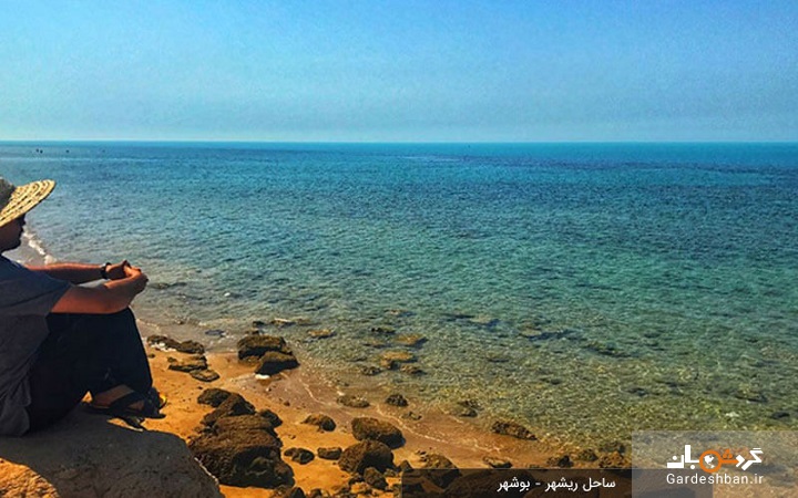 ساحل ریشهر بوشهر؛جاذبه گردشگری آرام و دیدنی شهر +عکس