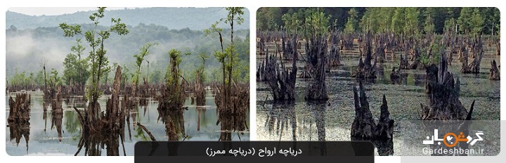 ارواح یا ممرز؛ دریاچه‌ای عجیب و دیدنی در نوشهر +عکس
