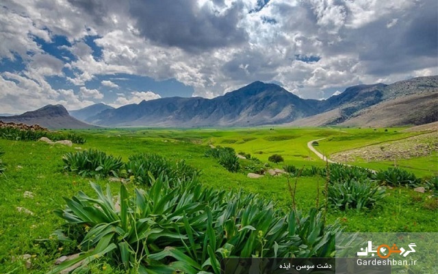 دشت سوسن ایذه؛جاذبه دل‌فریب جنوب ایران+عکس