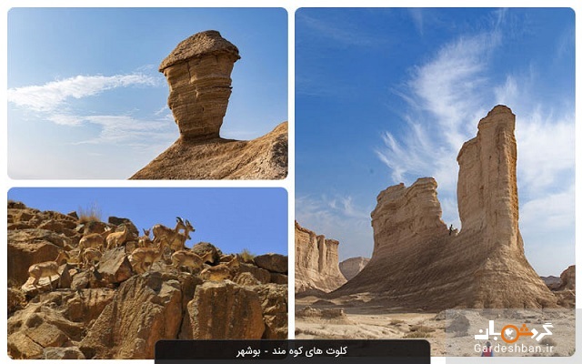 کلوت های کوه مند دشتی؛ از زیباترین جاذبه های بوشهر+عکس