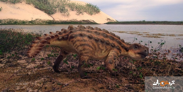 کشف گونه جدیدی از دایناسور‌های زرهی در شیلی +تصاویر