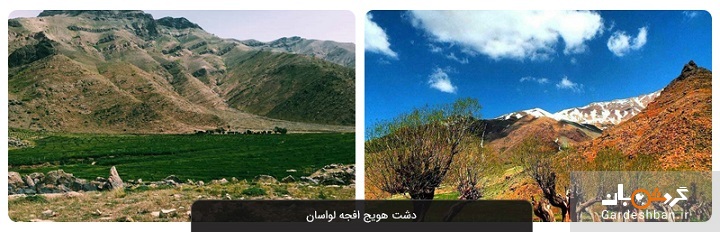 دشت هویج افجه لواسان؛ طبیعتی بکر برای گردشگری در اطراف تهران+عکس