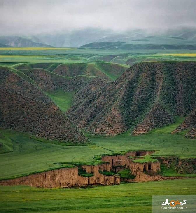 عکس/ طبیعت زیبای ترکمن صحرا گلستان