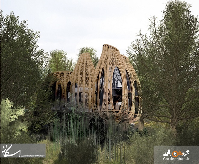 خانه‌های درختی با الهام از طرح سبدهای برنج بامبو +تصاویر