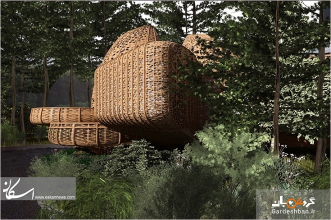 خانه‌های درختی با الهام از طرح سبدهای برنج بامبو +تصاویر