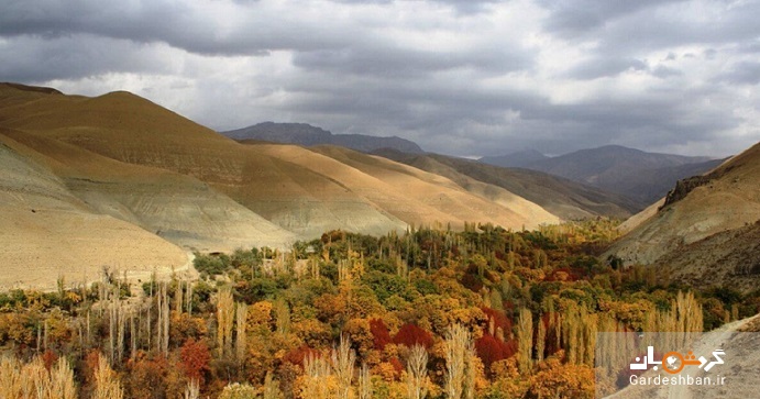روستای برغان؛ مهد چنارهای هزارساله + تصاویر