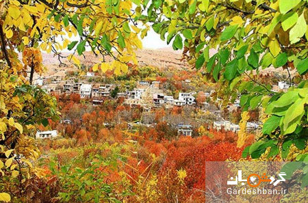 آشنایی با روستای زیبای بوژان نیشابور+ عکس