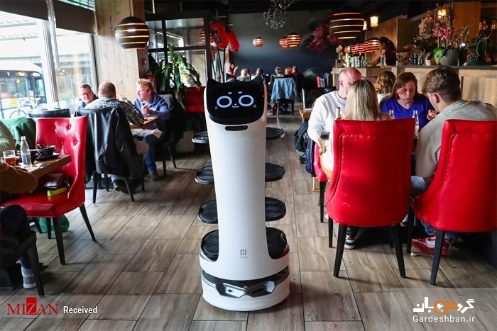 روبات‌های گارسون در بلژیک +تصاویر