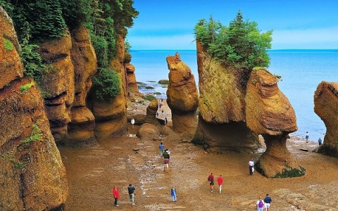 خلیج فاندی کانادا؛ یکی از عجایب هفتگانه طبیعی دنیا