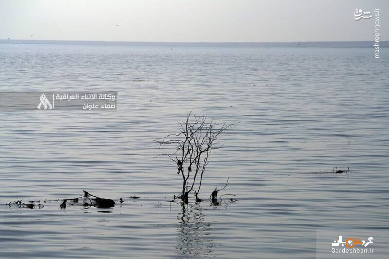 عکس/ دریاچه دیدنی در نجف