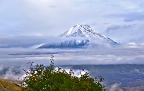 ارتفاعات قره خاچ؛ طبیعت بکر و دیدنی ماکو+ تصاویر
