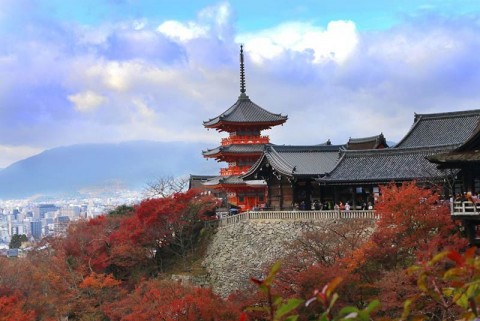 ۱۲ دلیل برای بازدید از شهر کیوتو در ژاپن+ عکس