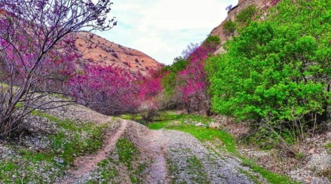 دره ارغوان مشهد، روستایی بکر و زیبا در طرقبه+ عکس
