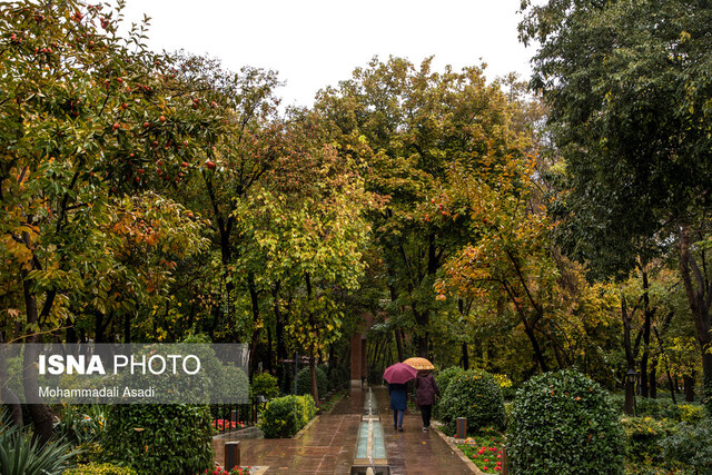 بارش پراکنده باران در تهران/ پیش‌بینی وزش باد شدید