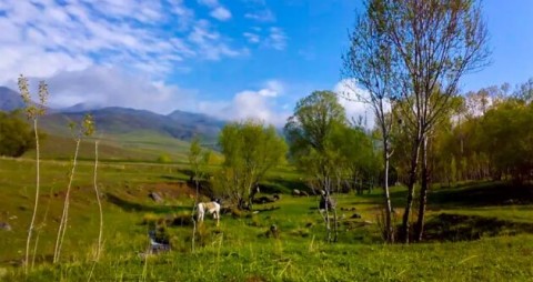 طبیعت بی نظیر منطقه گردشگری ساپلاق در آذربایجان شرقی+ عکس