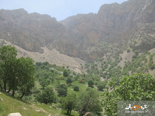 گردنه سرو‌های کوچک؛ تنگه‌ای دیدنی و تاریخی