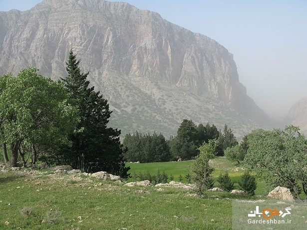 گردنه سرو‌های کوچک؛ تنگه‌ای دیدنی و تاریخی