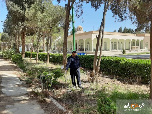 کاشت نهال مهربانی در موزه آینه و روشنایی پس از کرونا کاشت نهال مهربانی در موزه آینه و روشنایی پس از کرونا