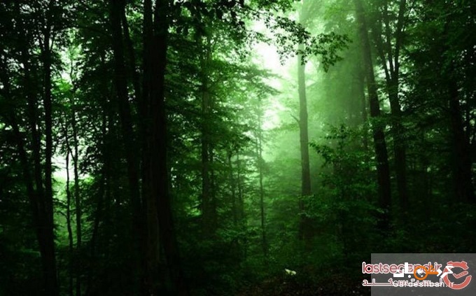سیکاء، روستای متبرک شهرستان نکا؛ چهره جدید گردشگری ایران
