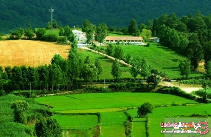 سیکاء، روستای متبرک شهرستان نکا؛ چهره جدید گردشگری ایران