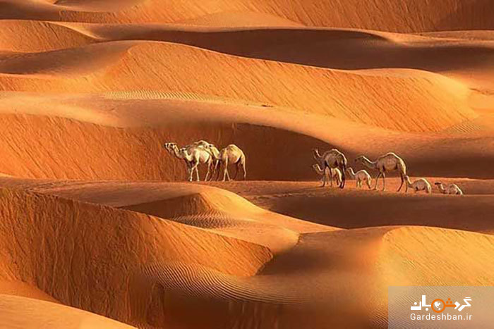 کویر‌های دیدنی اطراف تهران؛ تجربه‌ای از آرامش و سکوت