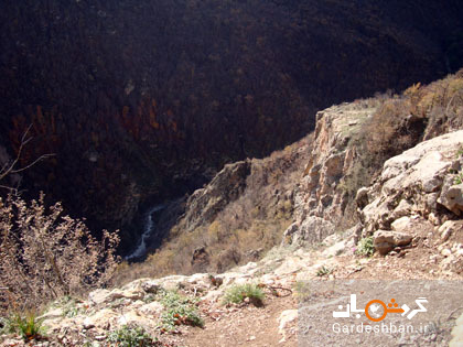 جنگل های فینسک در ۵۵ کیلومتری شمال شرق سمنان/تصاویر