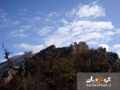 جنگل های فینسک در ۵۵ کیلومتری شمال شرق سمنان/تصاویر