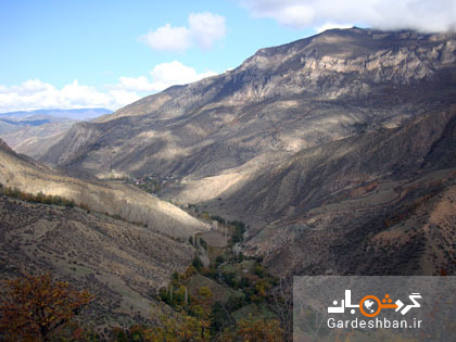 جنگل های فینسک در ۵۵ کیلومتری شمال شرق سمنان/تصاویر