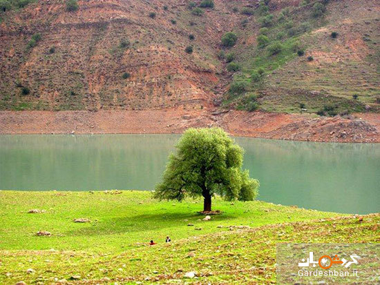 گشت و گذار در دشت زیبای «شیمبار»/ «شیرین بهار» در کدام استان است؟