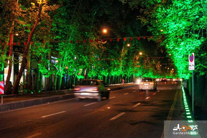 خیابان ولیعصر (عج) چه موانعی برای ثبت جهانی دارد؟