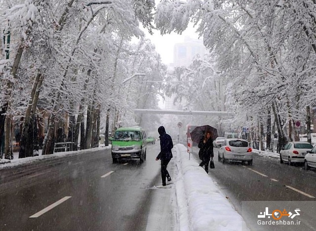 خیابان ولیعصر (عج) چه موانعی برای ثبت جهانی دارد؟