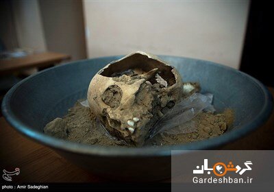 تصاویر کشف اسکلت انسانی و حیوانی در تخت جمشید