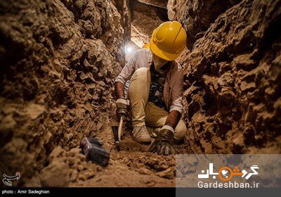تصاویر کشف اسکلت انسانی و حیوانی در تخت جمشید