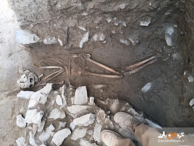 کشف سومین اسکلت اشکانی در تپه اشرف + تصاویر
