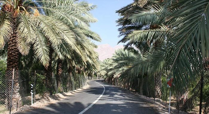 آبپخش طولانی ترین جاده گردشگری نخلستانی جنوب کشور