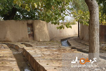 بازسازی کوچه ‌باغ تاریخی کنده درخت سمنان +تصاویر
