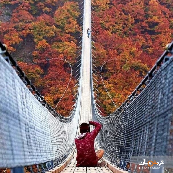 عکس/ 