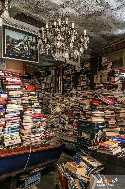 کتابخانه ای رویایی در ونیز + تصاویر
