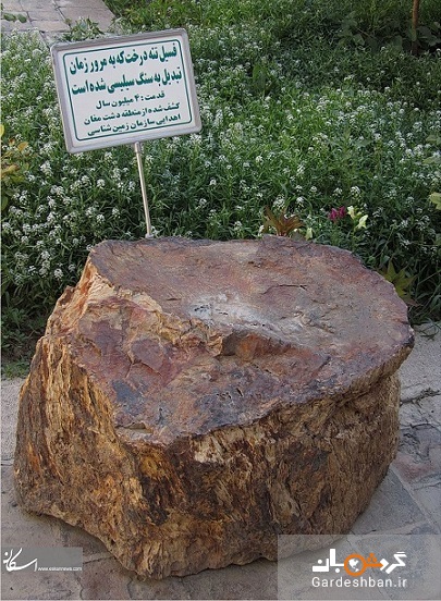 خانه سلماسی؛ موزه سنجش آذربایجان شرقی +تصاویر