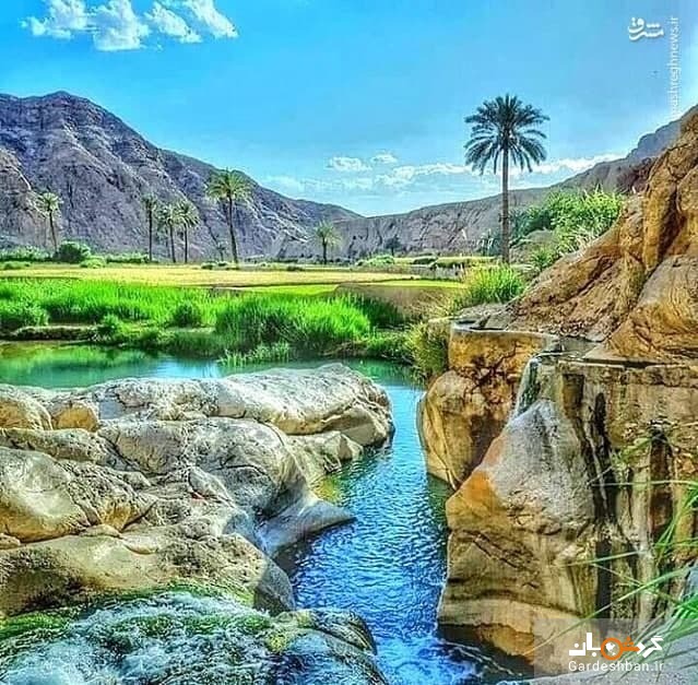 عکس/ طبس؛ تکه‌ای از بهشت ایران
