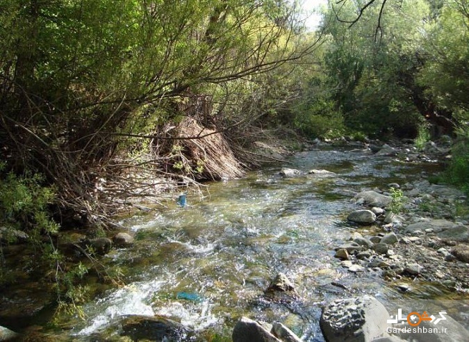 معرفی روستای ارنگه در جاده چالوس