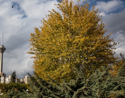 هوای تهران در شرایط قابل قبول