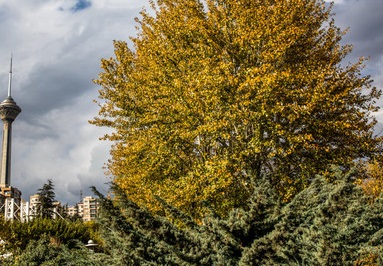 علی دارابی قائم‌مقام وزیر و معاون میراث‌فرهنگی